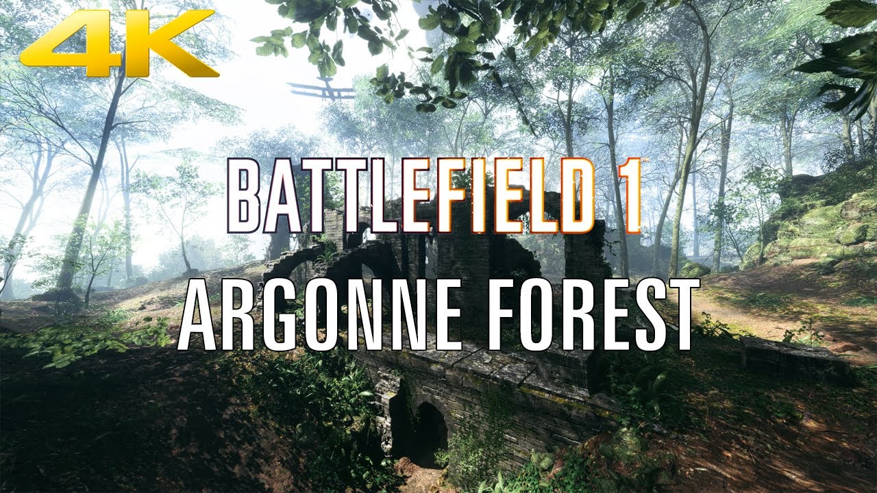 Battlefield 1 / Argonne Forest / 4K / Ambient / No loop / Realtime / 2 Hours