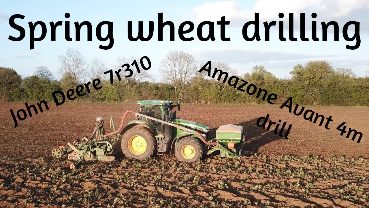 Amazone avant drill planting spring wheat #johndeere #agriculture
