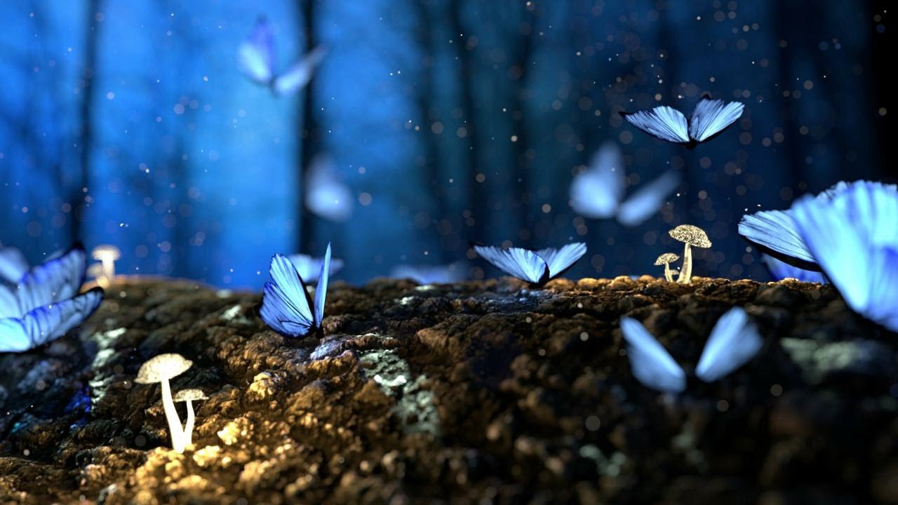 Musique Celtique Douce Harpe pour se D&eacute;tendre - Calme et S&eacute;r&eacute;nit&eacute; 🎵 Relaxing Celtic Music