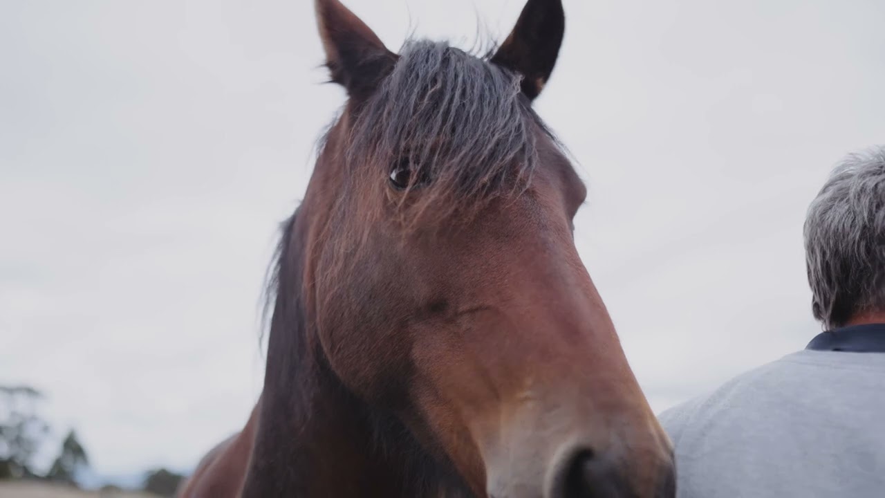 A Primary 1080 Kilmore Lancefield Road Kilmore V2 1