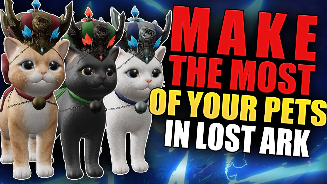 What Do Pets Do in LOST ARK ?