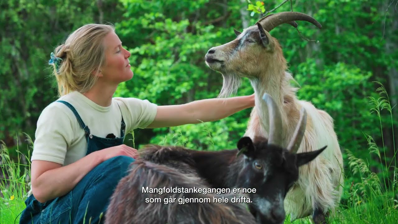 Ostefolket: Grindal Ysteri