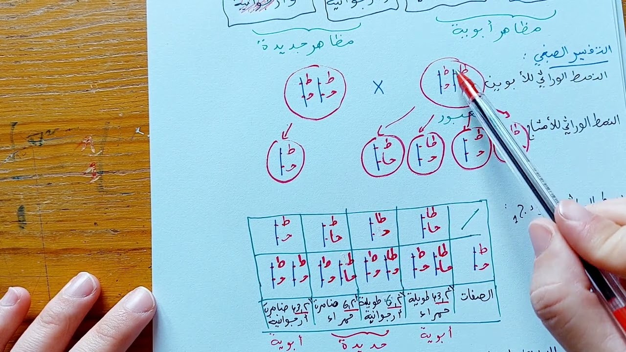 مراجعة شاملة ومعلومات هامة حول اعمال مورغان ٢ ثانية ثانوي🤔🤔🤔