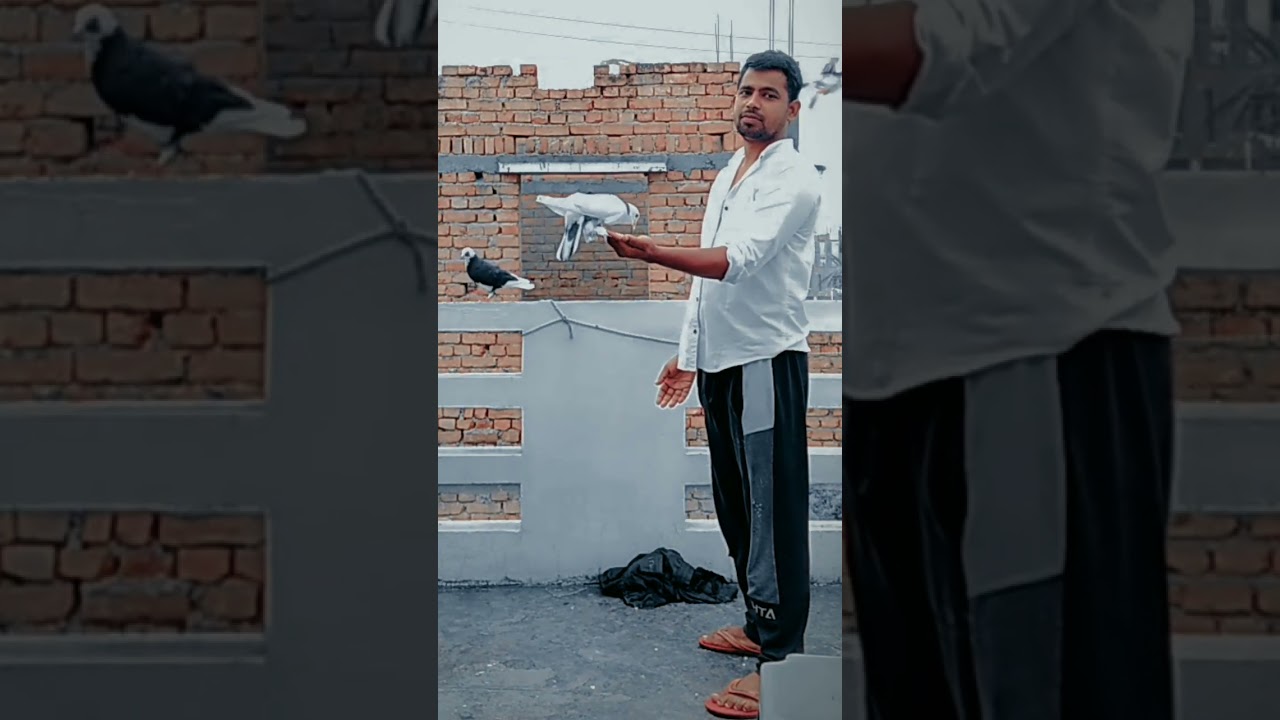 आज का मिनी vlog   कुछ ख़ास है #comedy #ipranshucricketer #comedyfilms