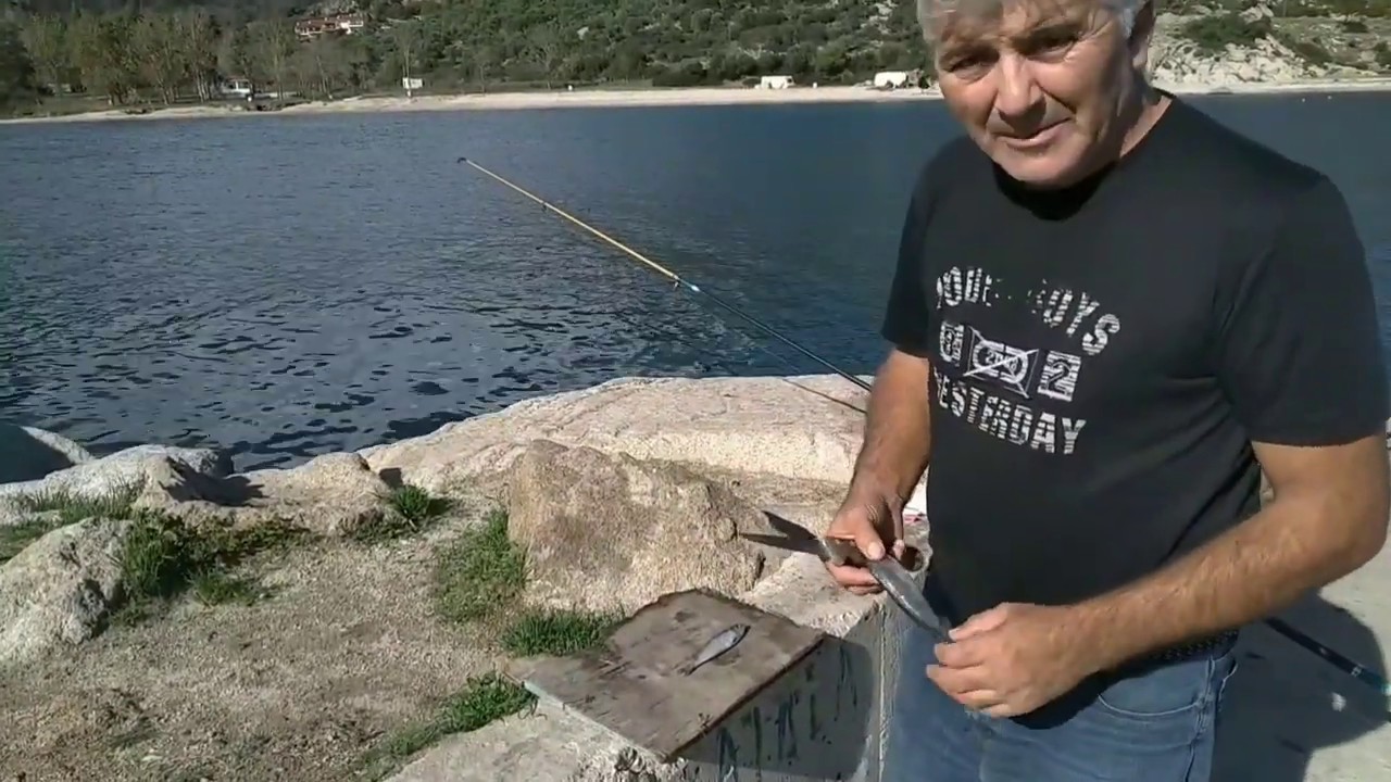 Ο ΚΑΛΥΤΕΡΟΣ ΤΡΟΠΟΣ ΝΑ ΔΟΛΩΣΟΥΜΕ ΤΗΝ ΦΡΙΣΣΑ (+BONUS ΛΑΒΡΑΚΑΚΙ)