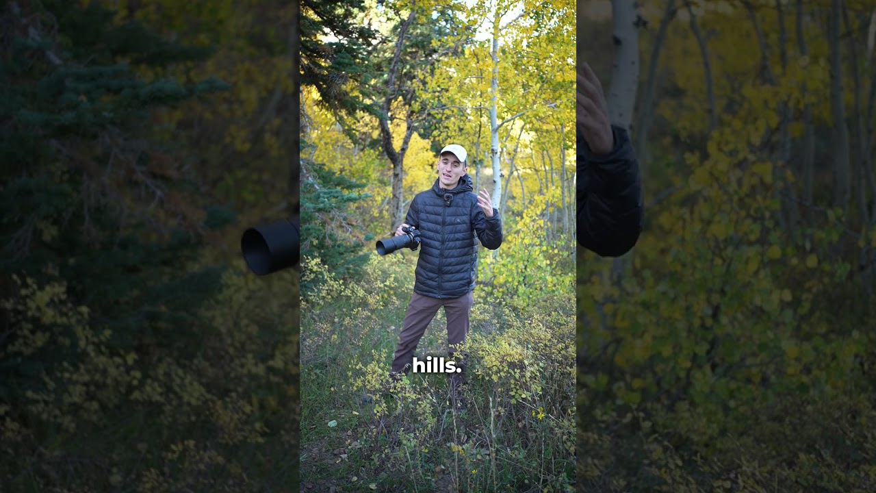 Quick Tip for Better Forest Photos