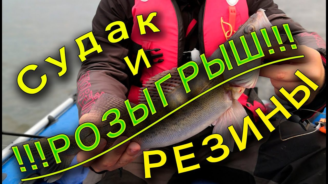 Шли за окунем, а поймали судака на Бердском заливе (БЗ) + РОЗЫГРЫШ РЕЗИНЫ