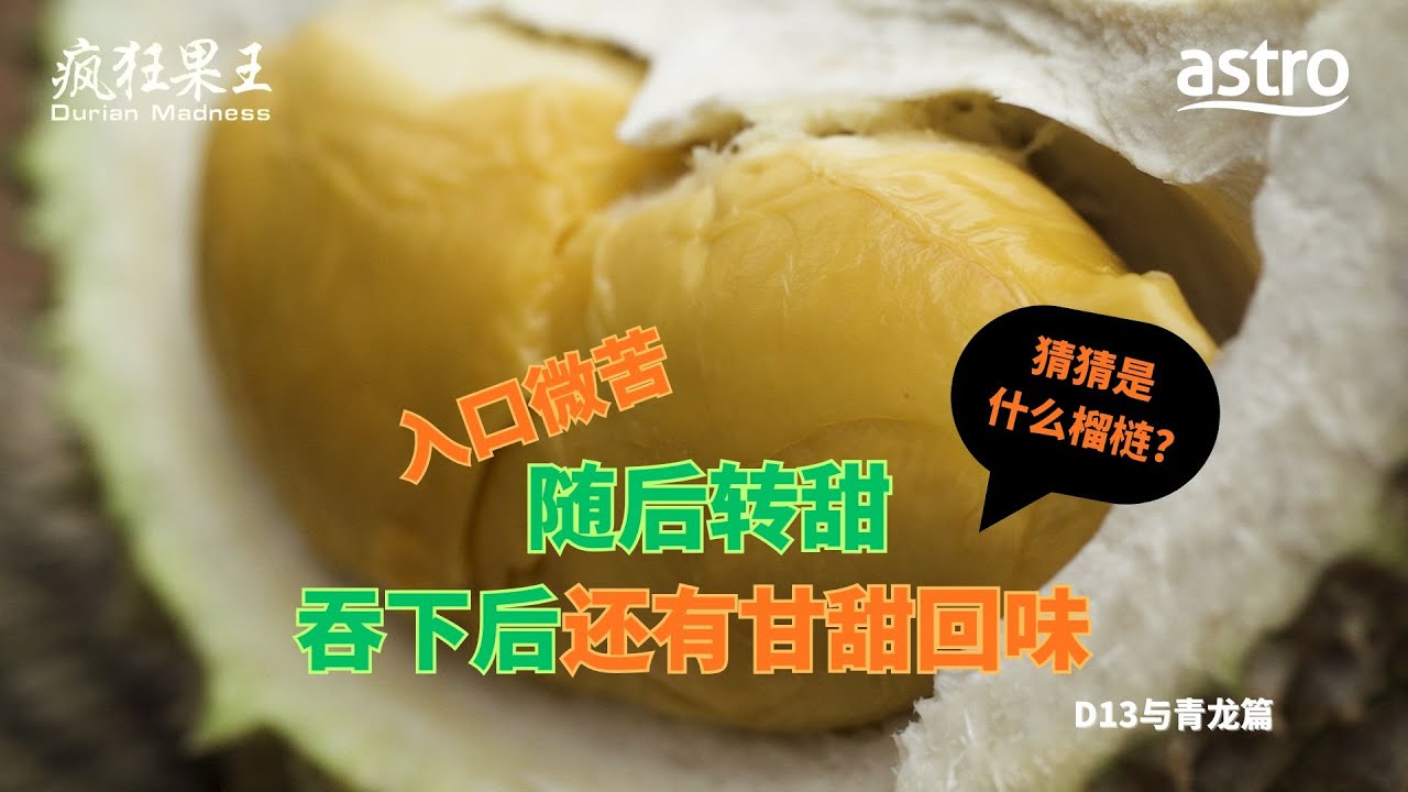 入口微苦，随后转甜，吞下后还有甘甜回味，层次丰富.....猜猜是什么榴梿？｜《疯狂果王》 Durian Madness EP8