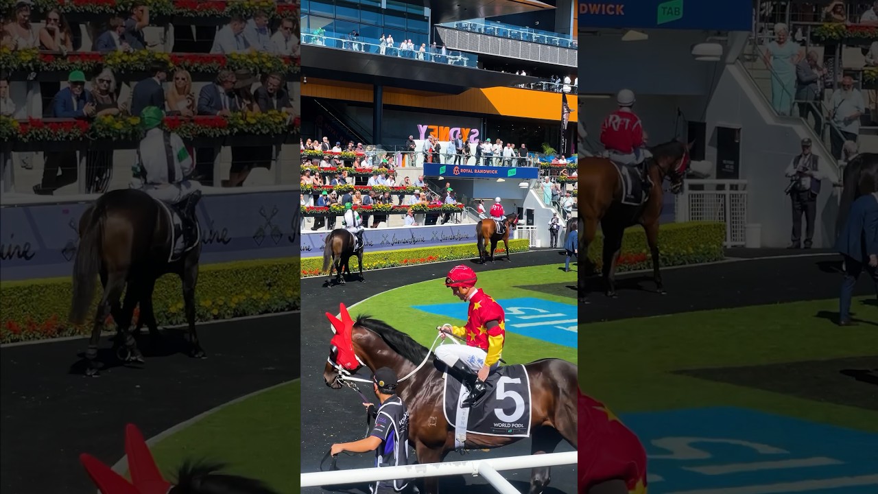A Saturday at the Royal Randwick 