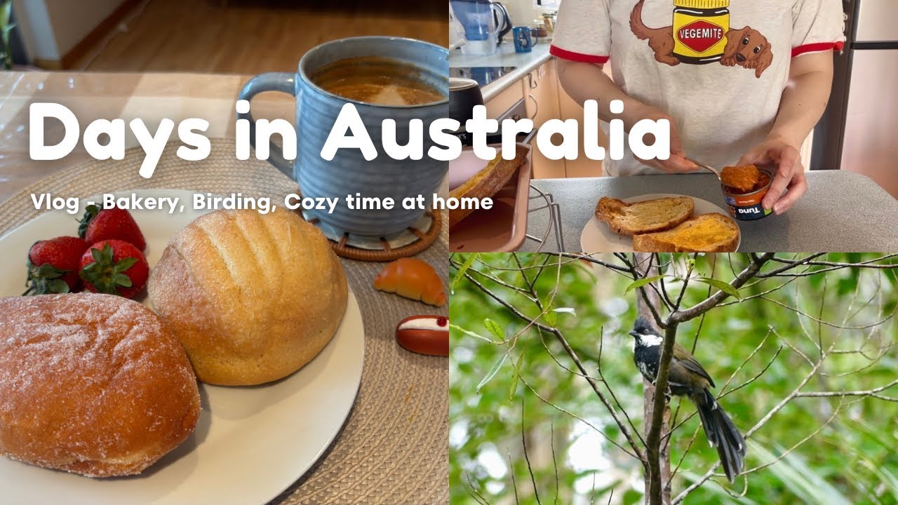 オーストラリア暮らしVlog🇦🇺いつもの海外生活、これでいい週末｜パン屋・森・自炊