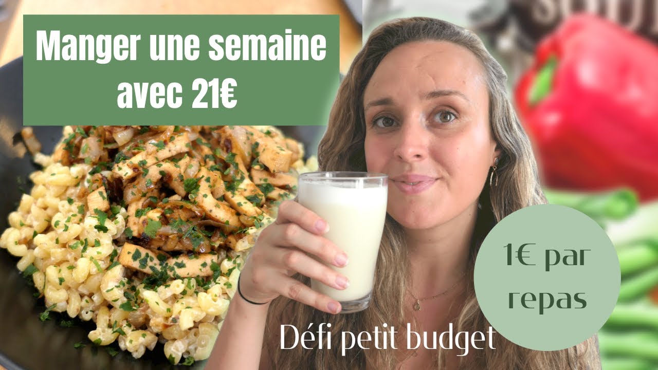 Manger avec 1&euro; par repas | Une semaine d'id&eacute;es repas &agrave; petit budget en pleine inflation | JOUR 5