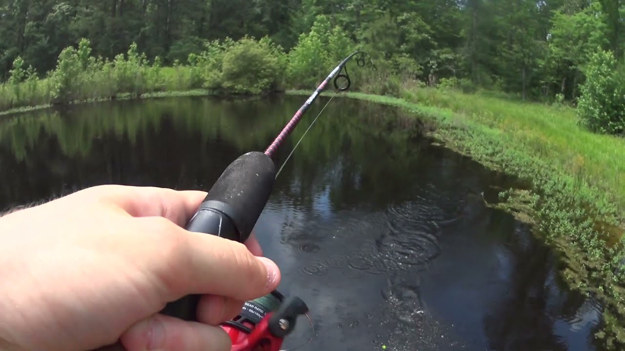 Testing Out the Ugly Stik Dock Runner Against Catfish and BIG Bream!