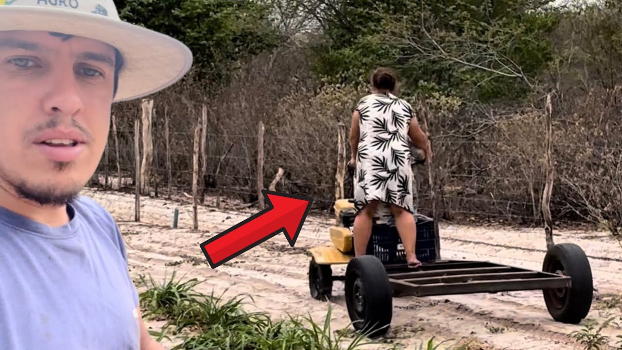 ISSO É O QUE ACONTECE QUANDO VOCÊ DEIXA O TRATOR SOZINHO...