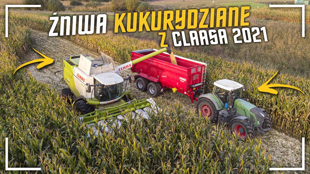 ☆Żniwa Kukurydziane Z Claas'ą!☆ Claas Lexion650 w Akcji!☆15t/ha!?☆ Fendt933&820!?☆Agro Grzechu☆