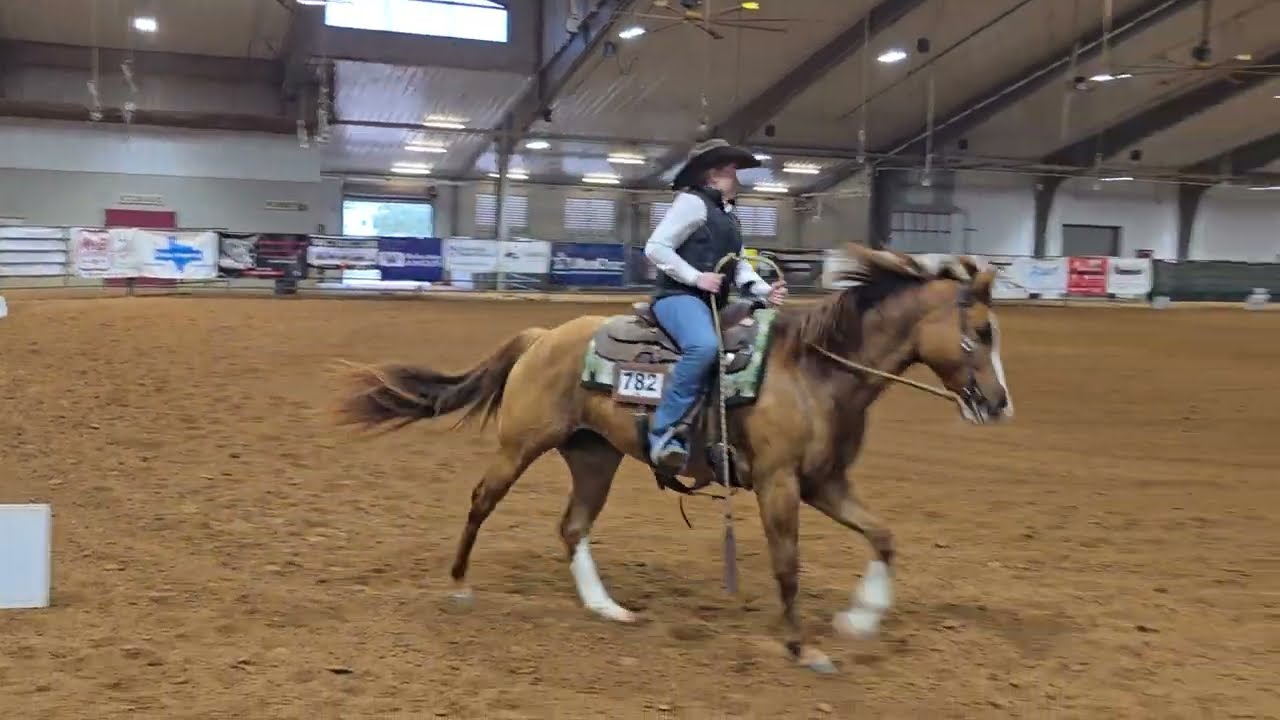 3/8/2026 Taylor and Dun Slidin 22 Stock Horse Pleasure SHTX