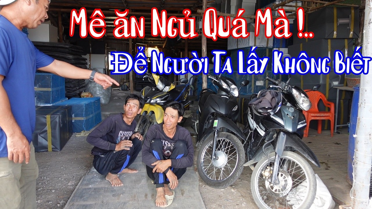 Đang Ngủ Trưa Bà 8 Phong Bị Gọi Dậy Báo Hung Tin Cái Xanh Mặt Tỉnh Ngủ Luôn