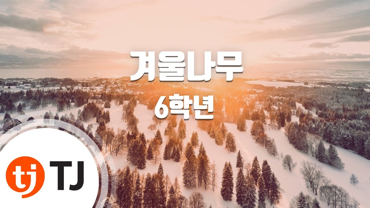 [TJ노래방] 겨울나무 - 6학년 / TJ Karaoke