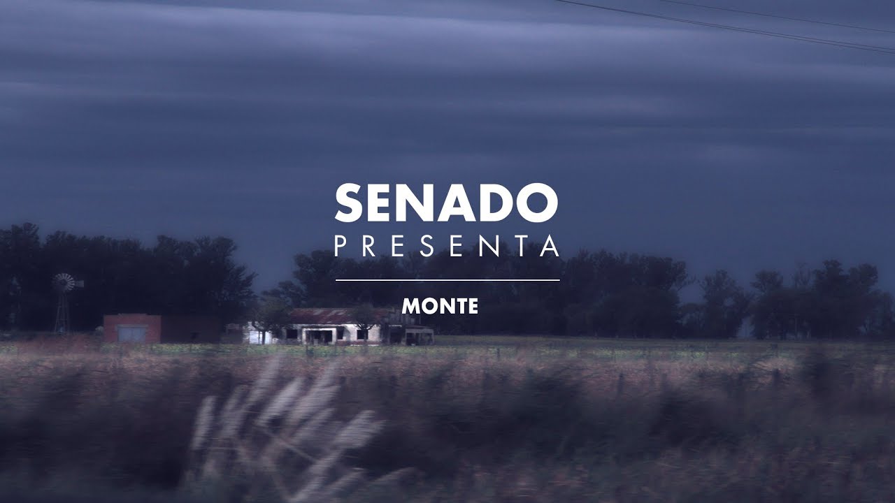Capitulo 066: Monte