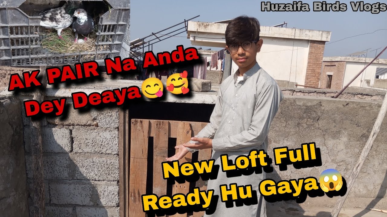 How to make bird cage at home || Ak Pair na Anda dey deya#kabootar #trending #pigeon #viral 