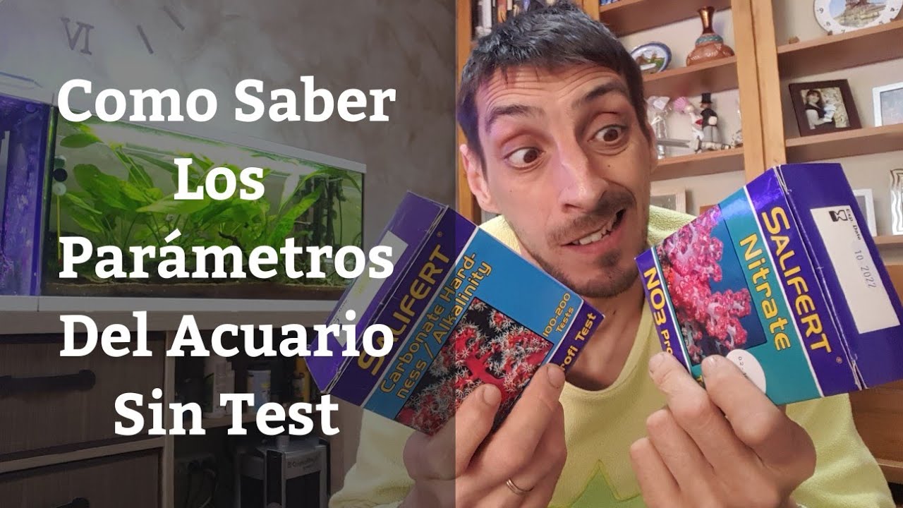 🔵 Como Saber Los Parámetros Del Acuario Sin Test (Acuarios MB)