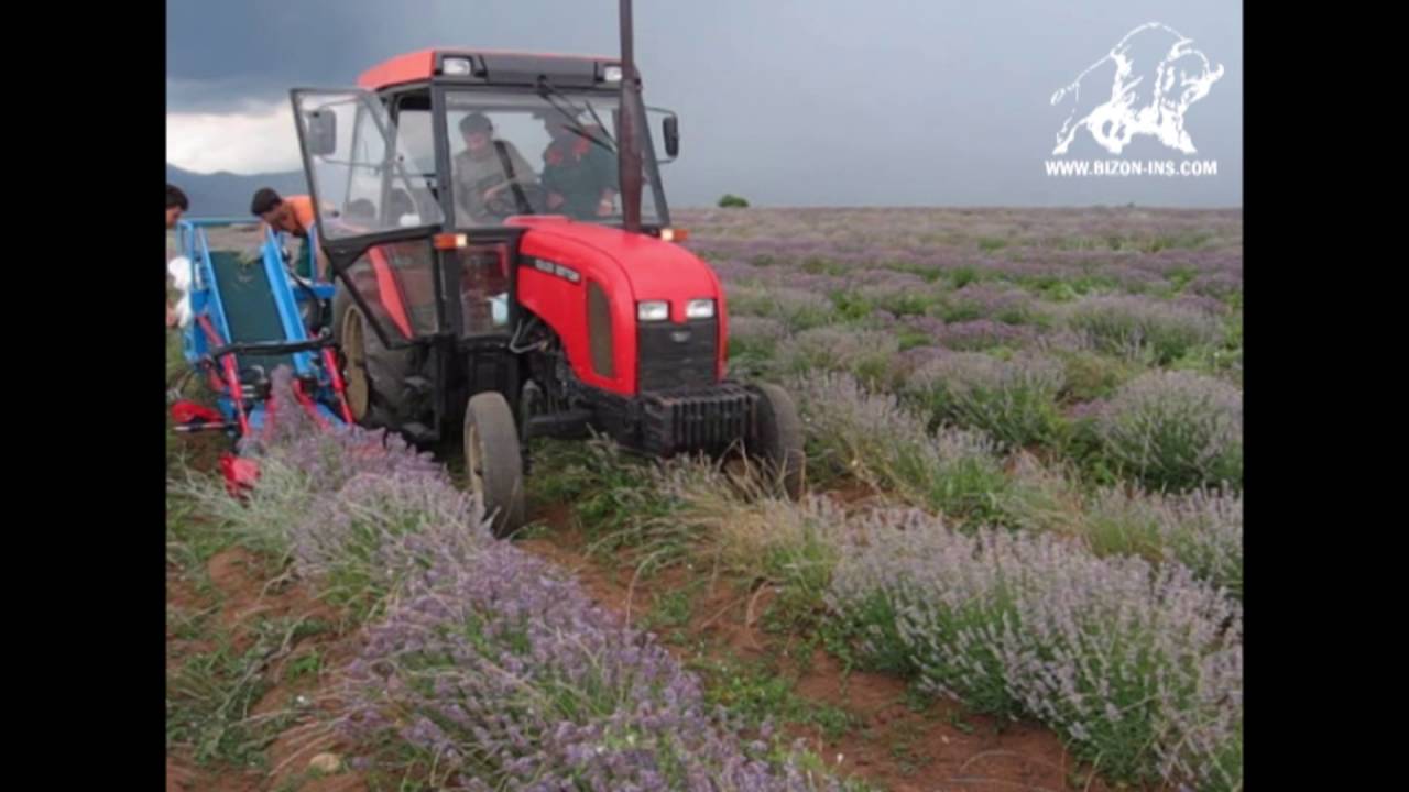 Машина за косене на лавандула МКЛ 2К / Lavender Harvester MKL 2K