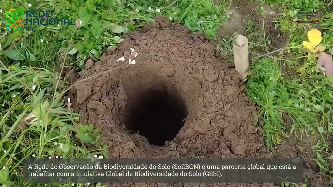 Ação de formação - Monitorização da saúde do solo nas explorações