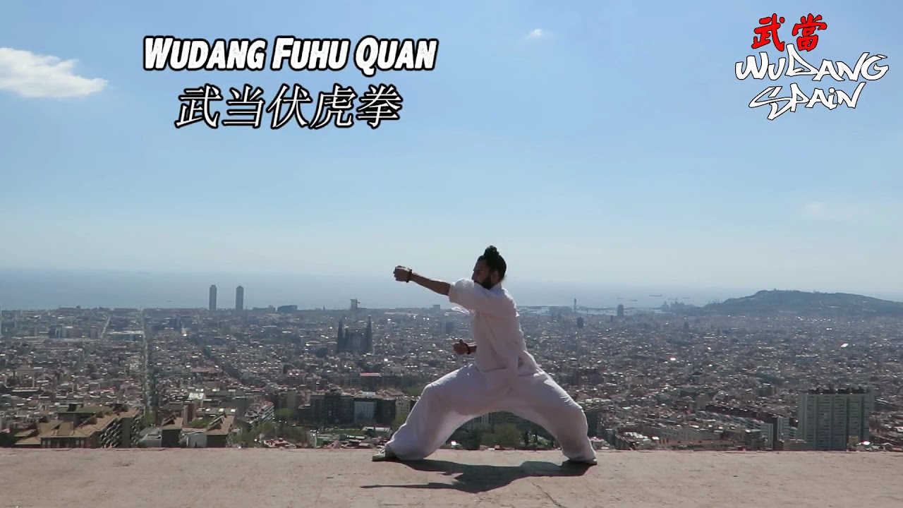 Wudang Fuhu Quan (武当伏虎拳) - Wudang Spain