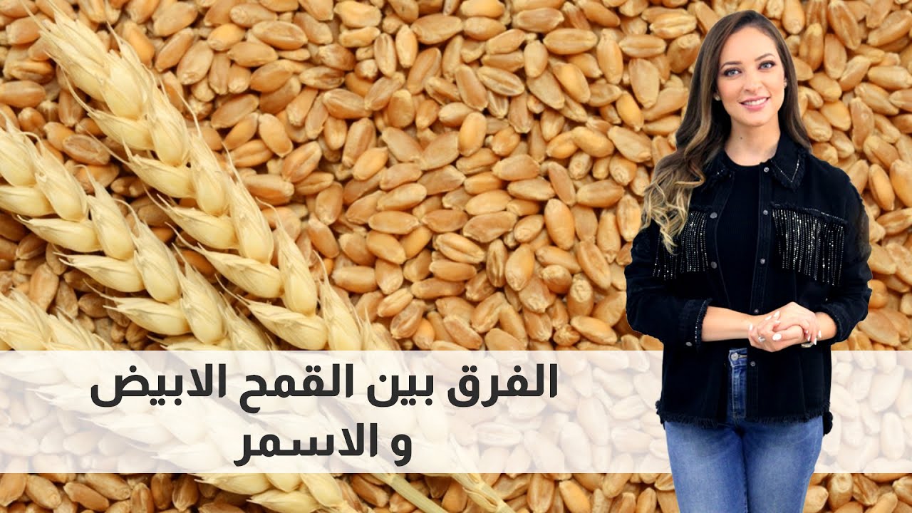 الفرق بين القمح الابيض والقمح الاسمر