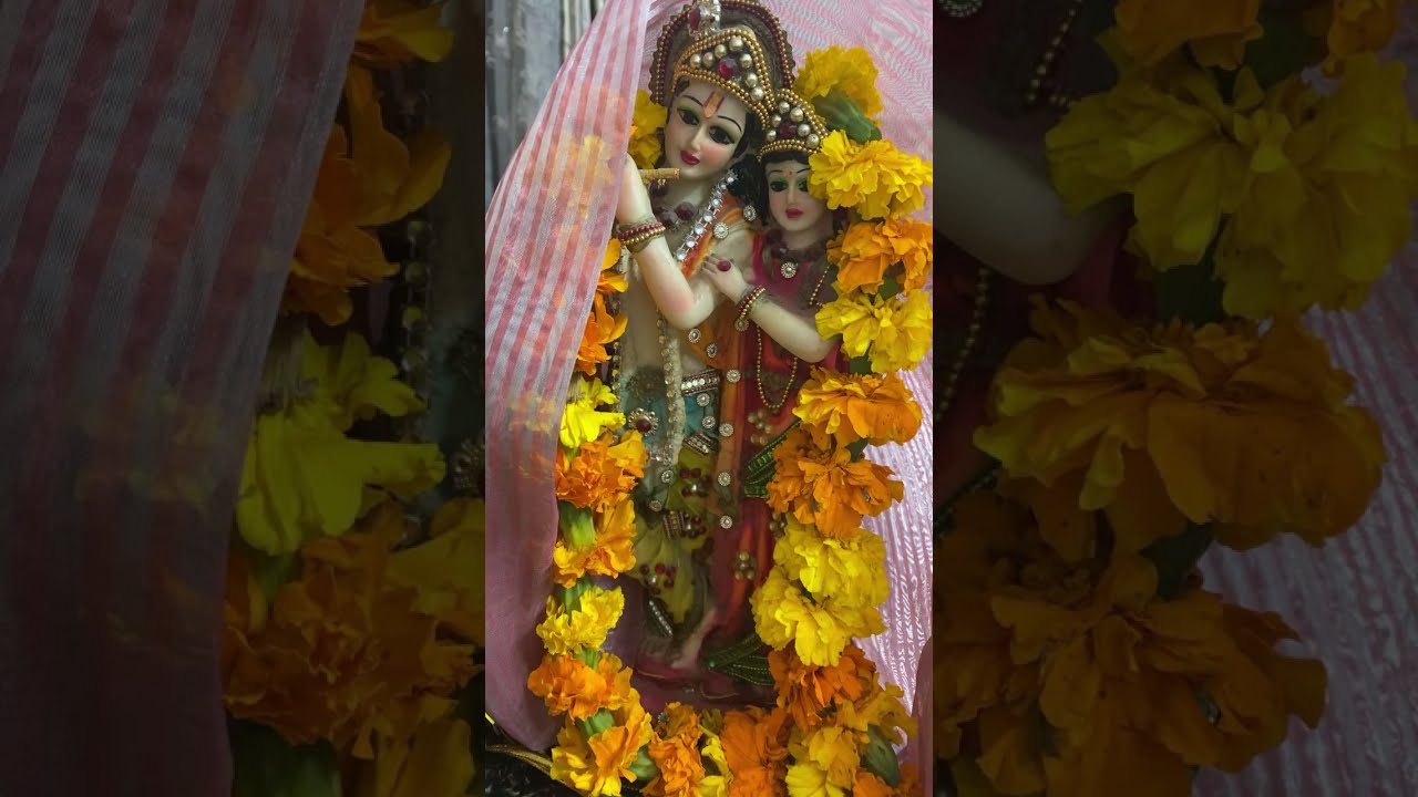 साईं कृपा  लाइव है! good evening everyone 🙏🤗आप सभी को होली की हार्दिक शुभकामनाएँ 🤞