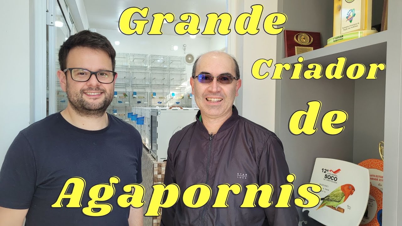 Grande Criador de Agapornis!!!