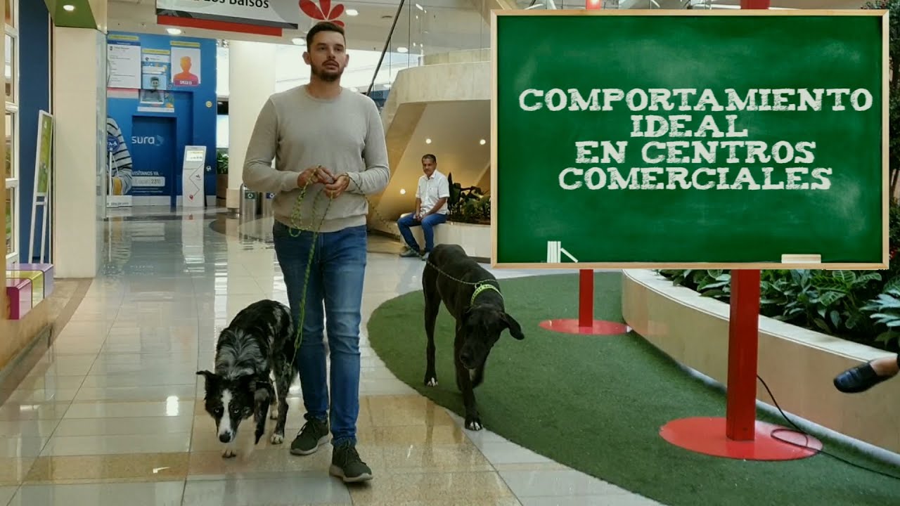Club Family Dogs \\ #Capitulo5 \\Comportamiento Ideal  En Centros Comerciales \\ #ElProfeDeLosPerros