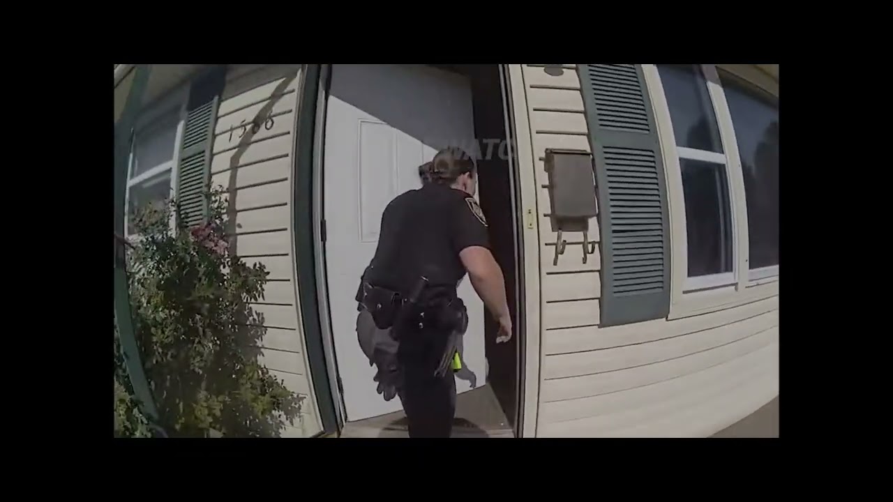 Yn reacts to police bodycams videos and is shocked by how some people live