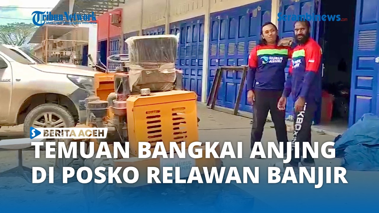 Temuan Bangkai Anjing Gemparkan Relawan Banjir di Aceh Tamiang