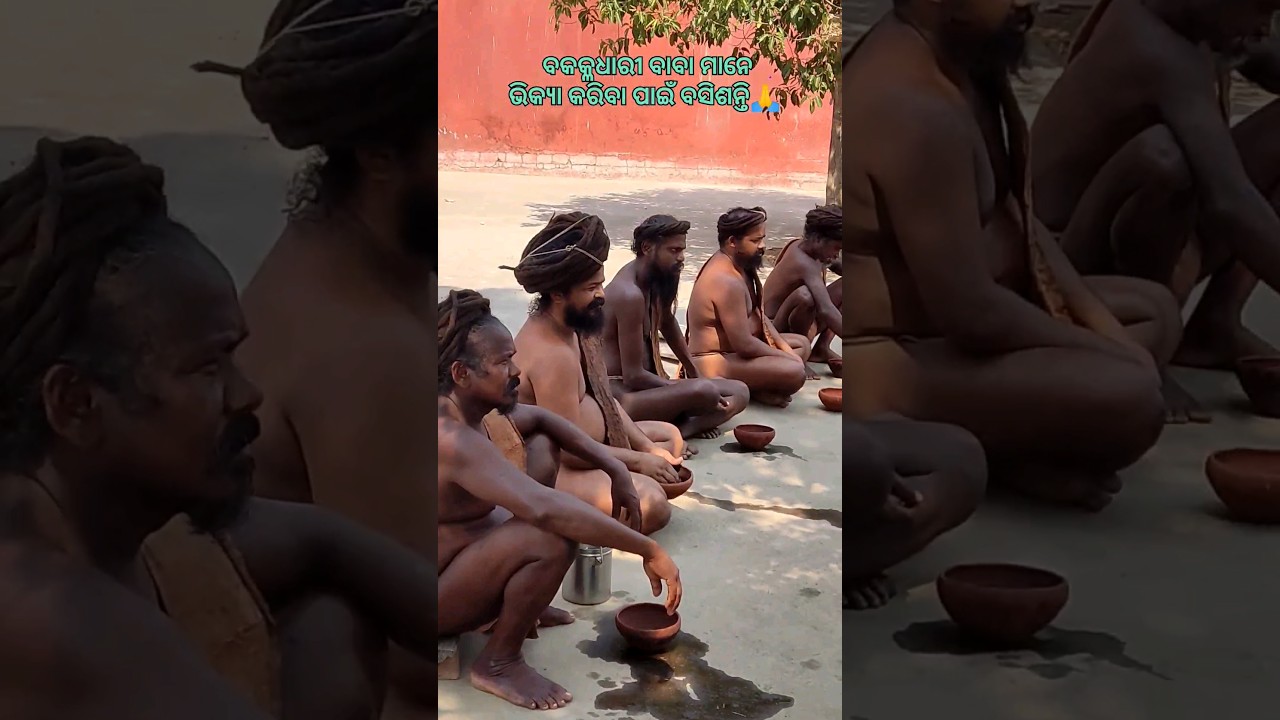ବକ୍କଳଧାରୀ ବାବା ମାନେ ଭିକ୍ୟା କରିବା ପାଇଁ ବସିଶନ୍ତି🙏#jorandagadi #mahimagadi #short #shorts