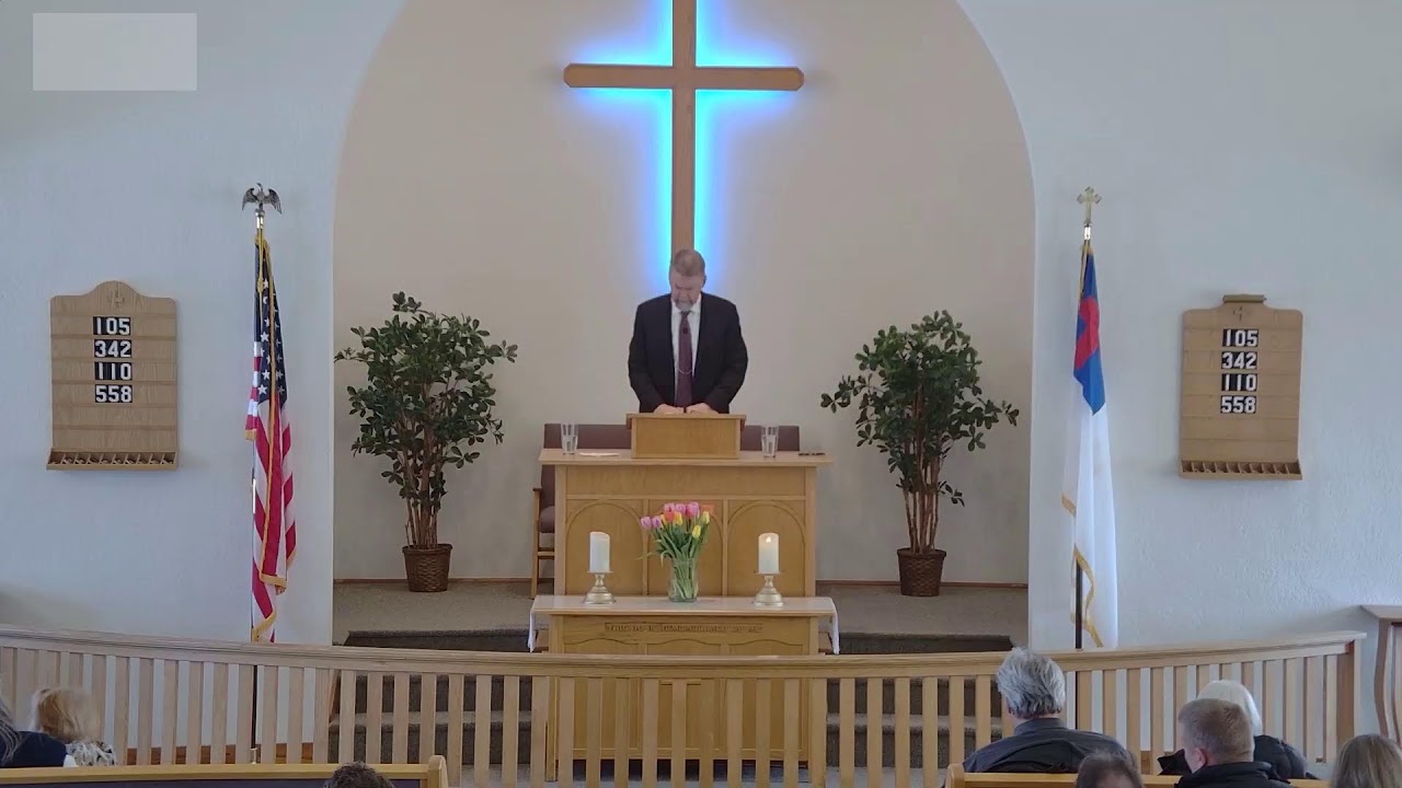Sunday afternoon 3-1-2025