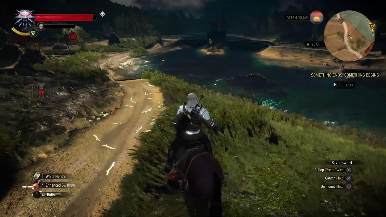 Witcher 3 wild hunt