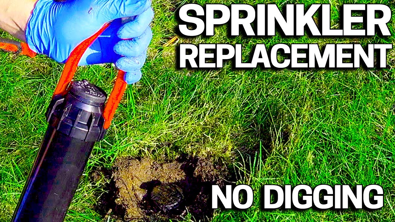 How to replace a sprinkler head without digging
