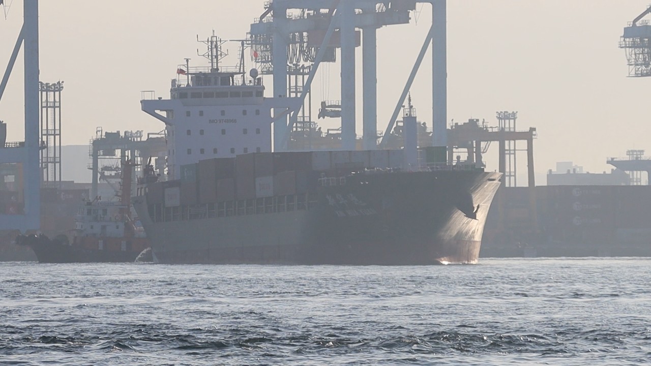 [貨輪出港] 新華遠 輪🚢一般貨輪 | 穿裙裙拍船船