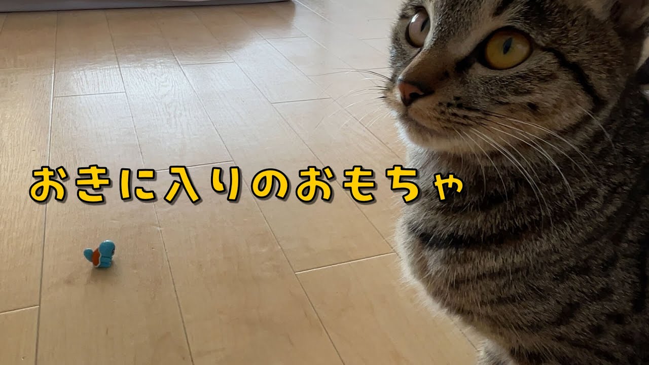 おもちゃ、どこに行った？