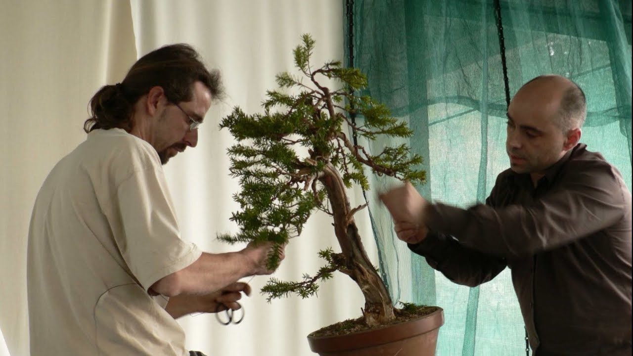 DAVID BENAVENTE DEMO   BONSA&Iuml; ARD&Eacute;CHOIS   2006