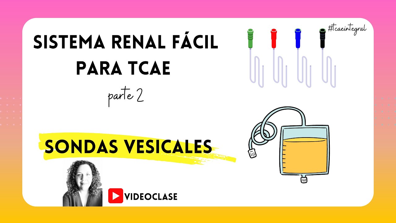 🧡 SONDAS VESICALES para TCAE (parte 2) / Oposiciones y Pruebas Libres FP