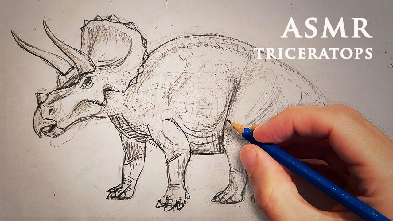 ASMR Dinosaur Drawing Triceratops 1 Hour