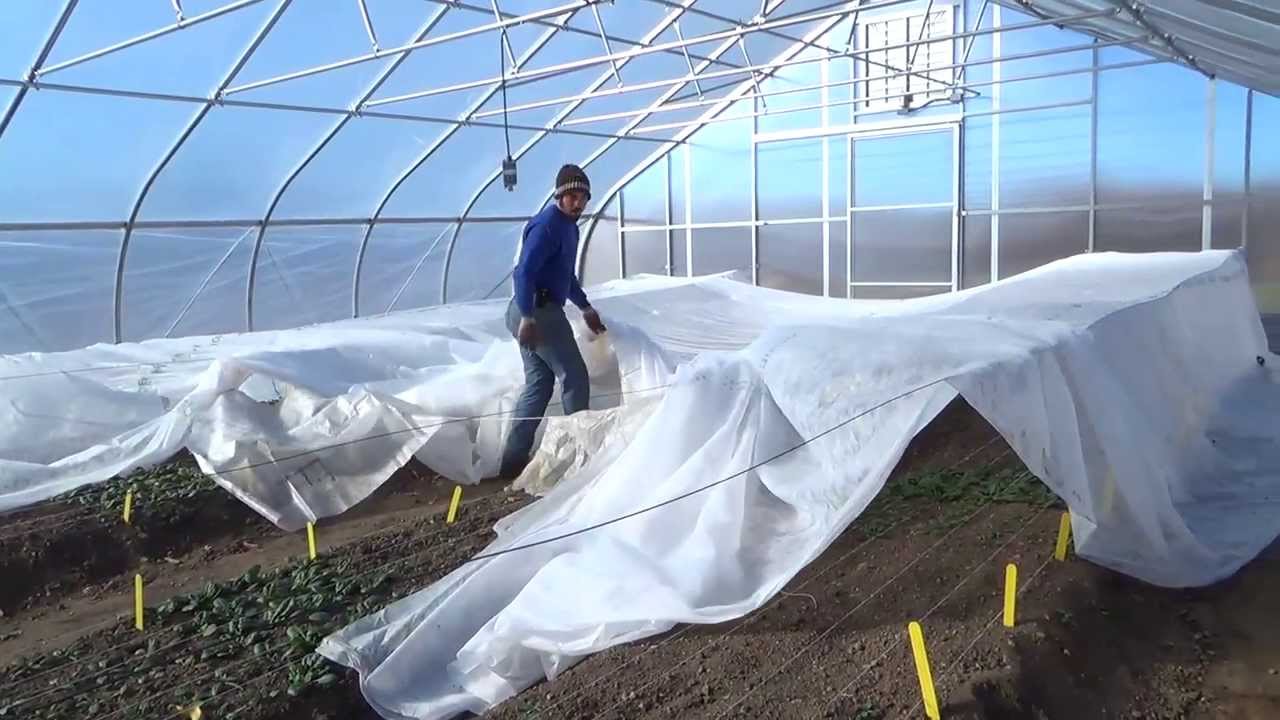 High Tunnel Greenhouse Design & Layout