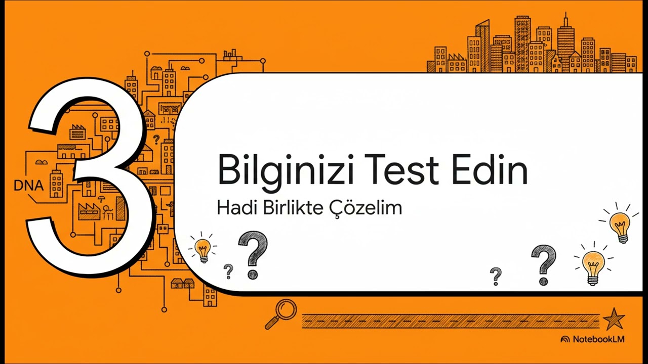 Yerleşmelerin Fonksiyonları