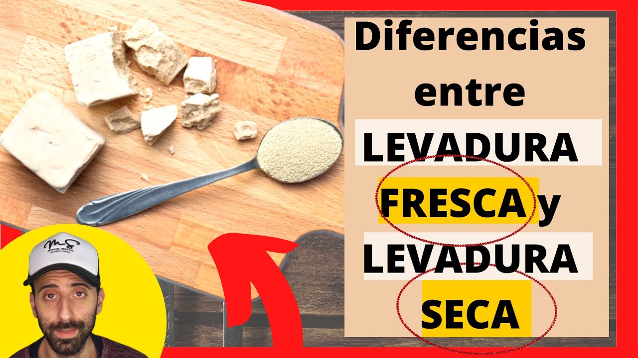 👉 Conoces la diferencias entre levadura FRESCA y levadura SECA?