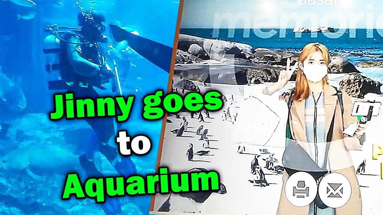 Jinny Visits the Aquarium