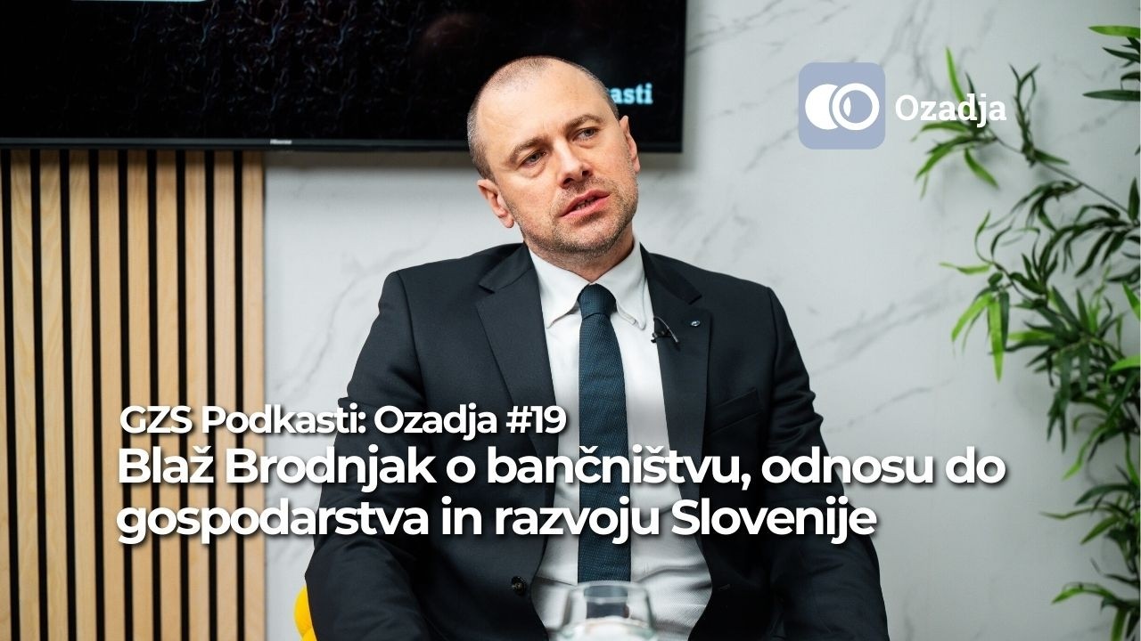 Blaž Brodnjak o bančništvu, odnosu do gospodarstva in razvoju Slovenije — GZS Podkasti: Ozadja #19