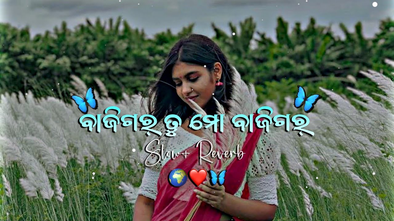 Bajigar Tu Mo Bajigar 🌙 | Odia LOFI 💕 | Slow + Reverb 🎧 | Lipsha Editz