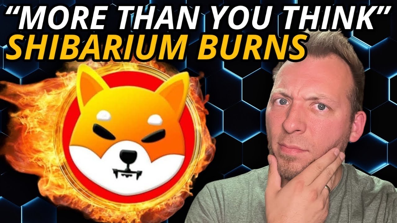 SHIBA INU - SHIBARIUM BURNS WILL BE 
