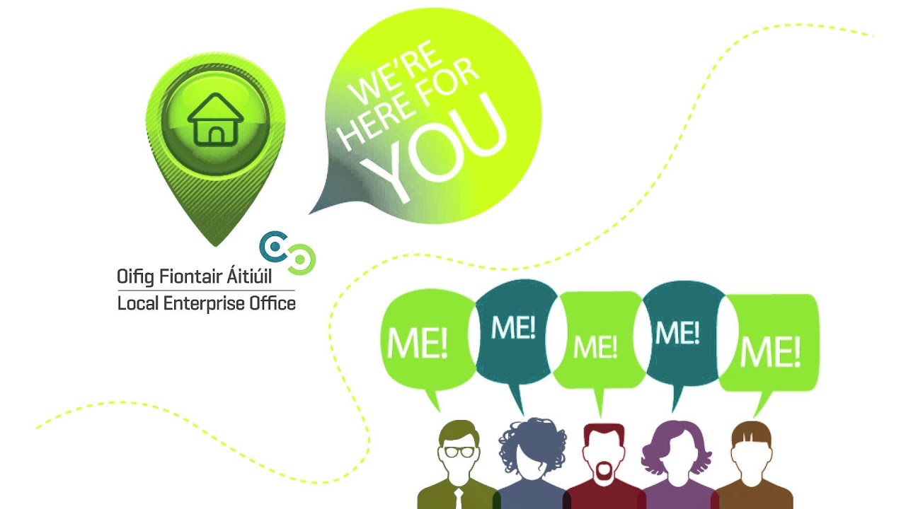 An Introduction to Local Enterprise Offices